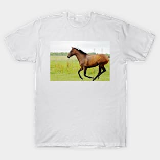 Running Free T-Shirt